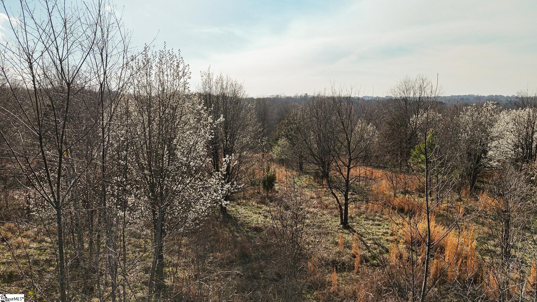 647 Blackwell Road Greer, SC 29651 - Photo 10 of 17