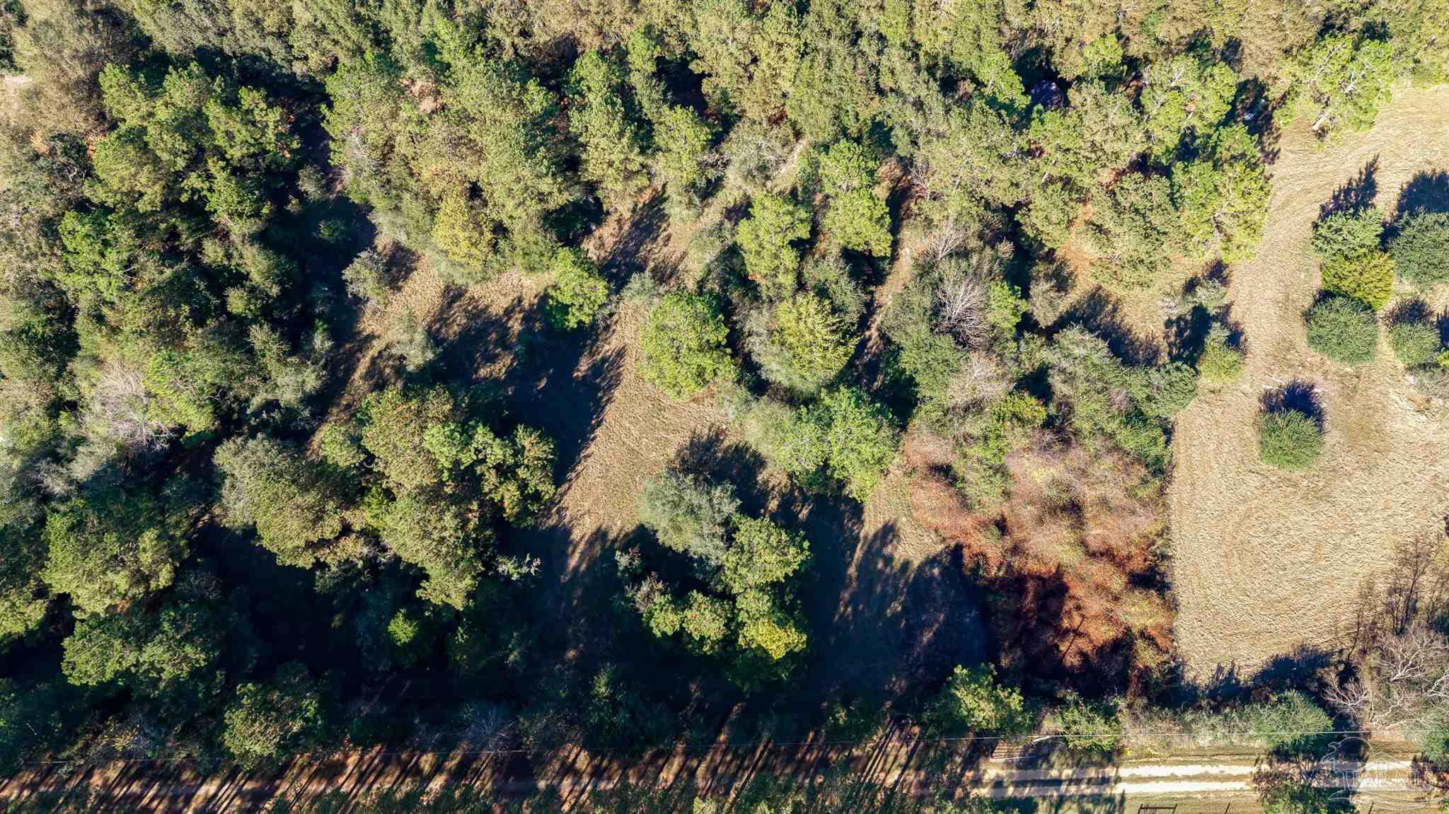 1756 Jacks Branch Road Cantonment, FL 32533 - Photo 18 of 29 a picture of a tree