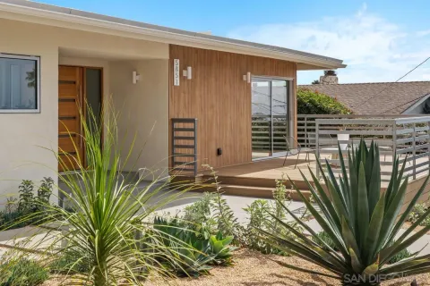 a view of a backyard with plants