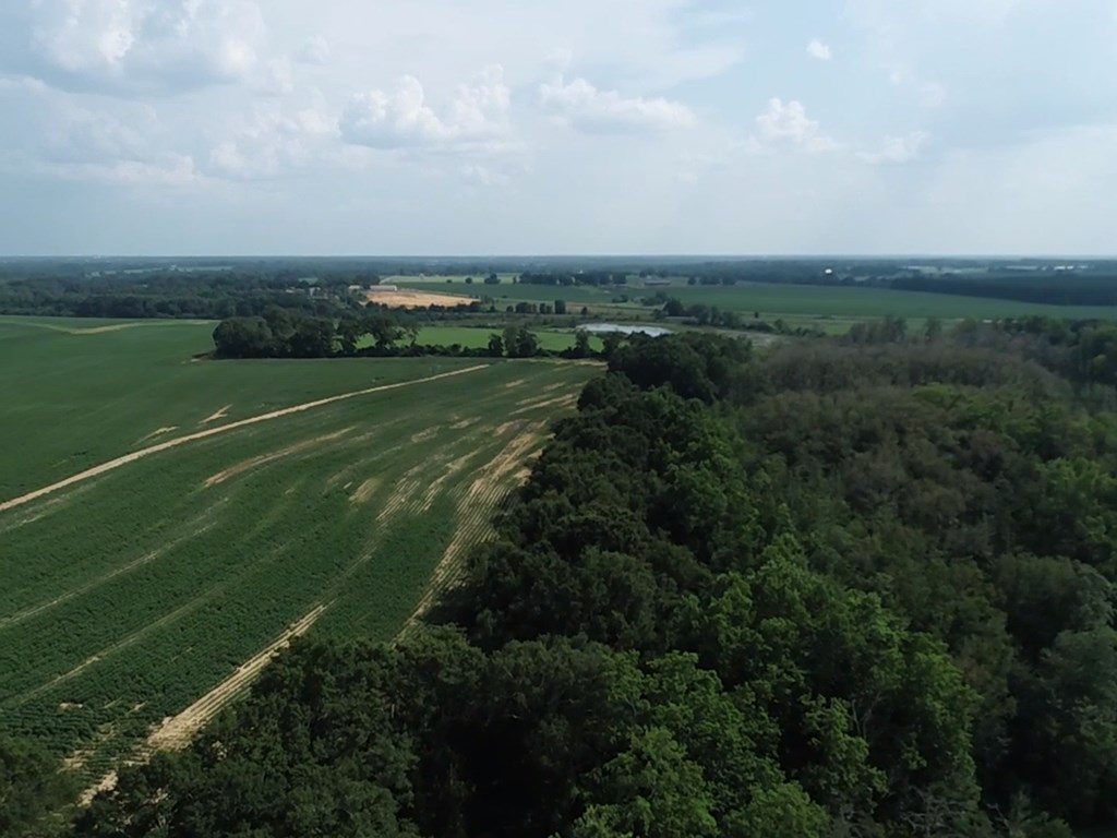 132.3-ac Green Road Dothan, AL 36303 - Photo 12 of 63