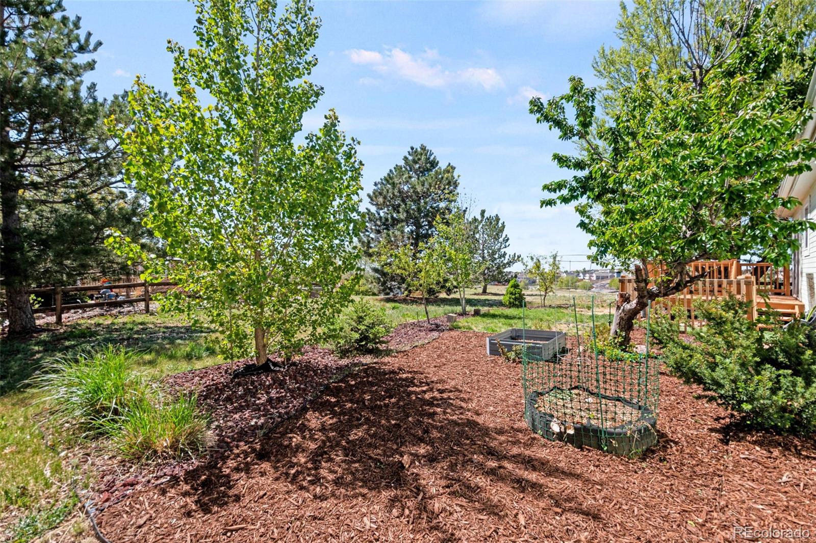7641 Marmot Point Colorado Springs, CO 80922 - Photo 28 of 36