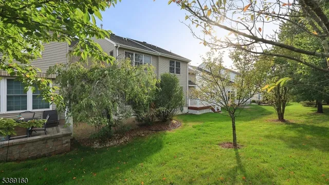 a view of a backyard with plants and a large tree