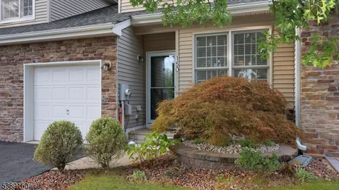 a view of a backyard with plants