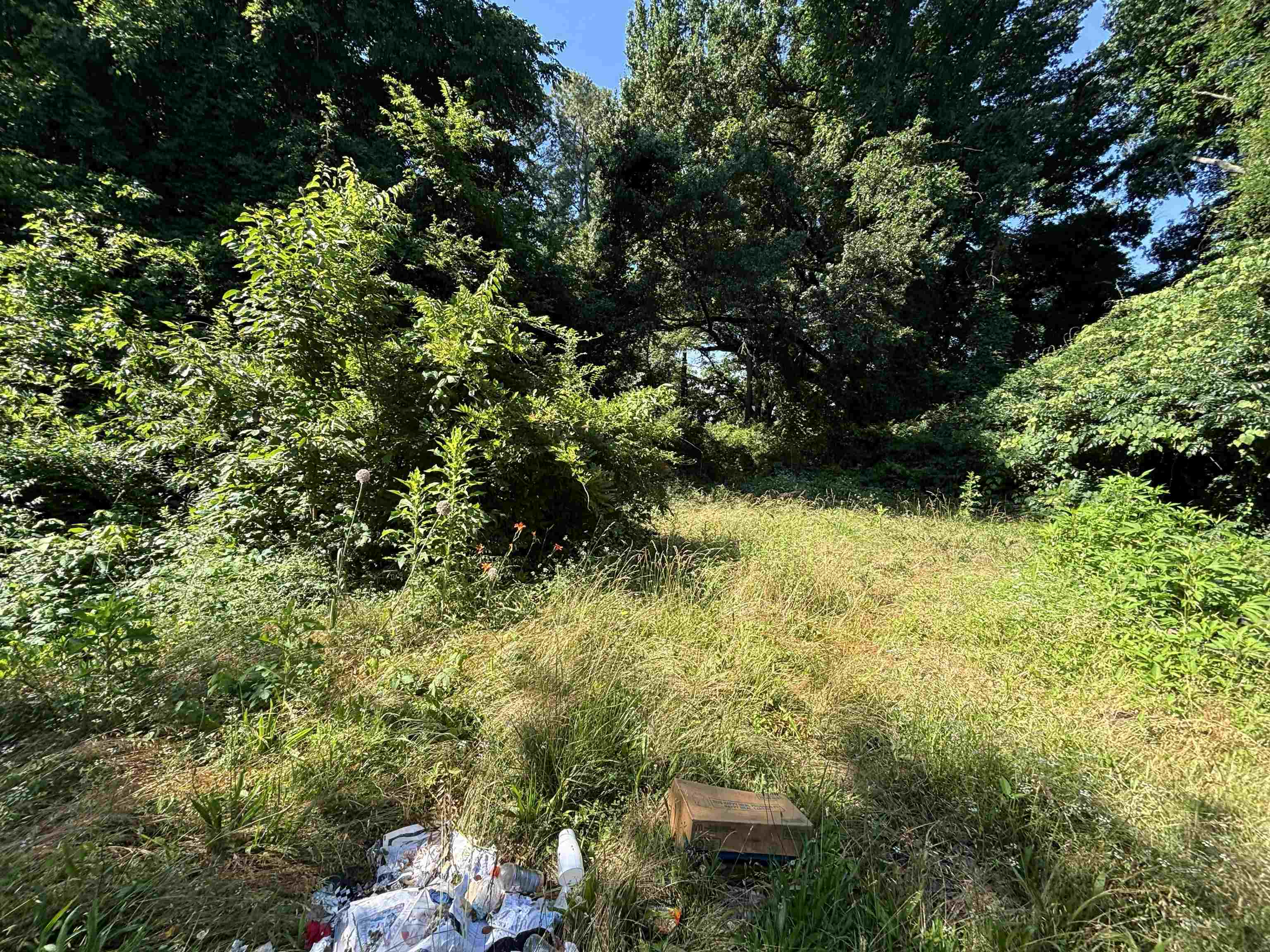175 East Brooks Road Memphis, TN 38109 - Photo 6 of 7 Image quality insufficient for description