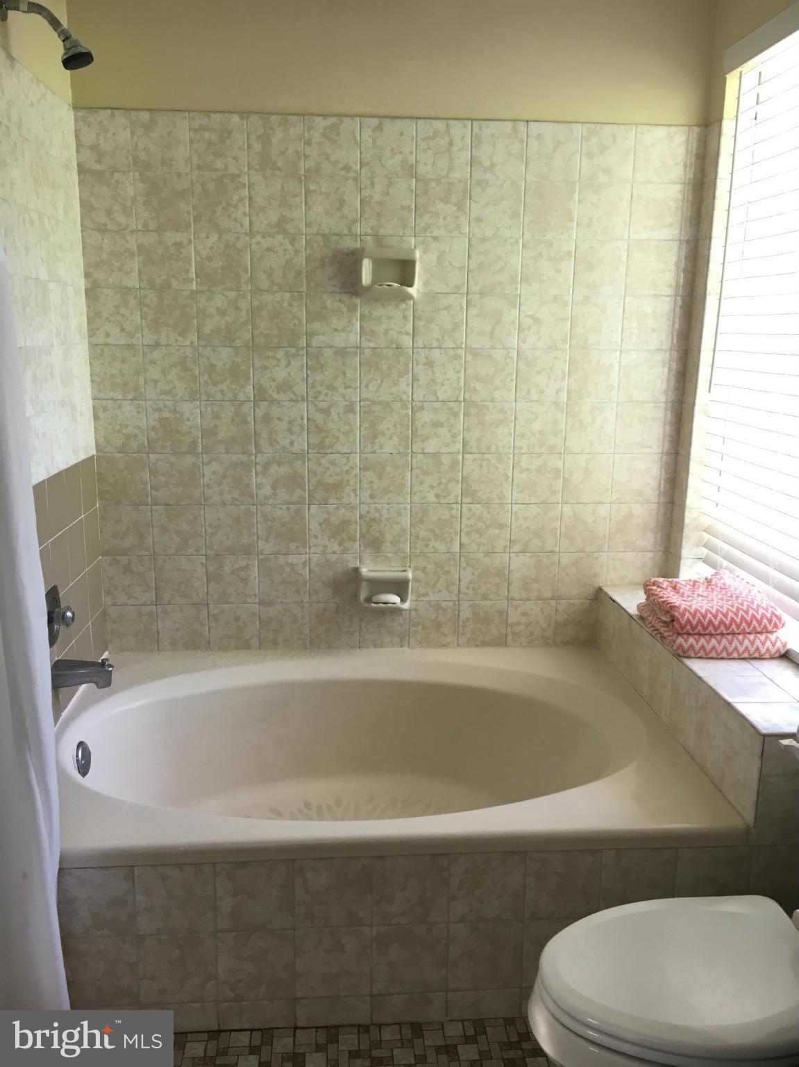 8416 Oak Stream Drive Laurel, MD 20708 - Photo 16 of 29 Bath (Master)