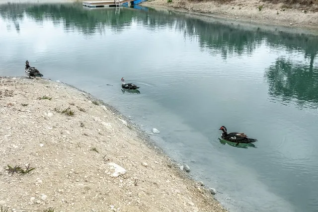 $1,975,000 | 903 Eichen Strasse, Fredericksburg, TX 78624