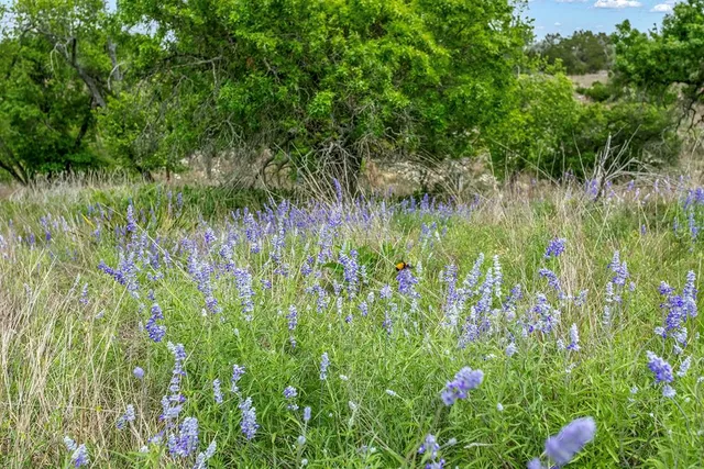 $1,975,000 | 903 Eichen Strasse, Fredericksburg, TX 78624