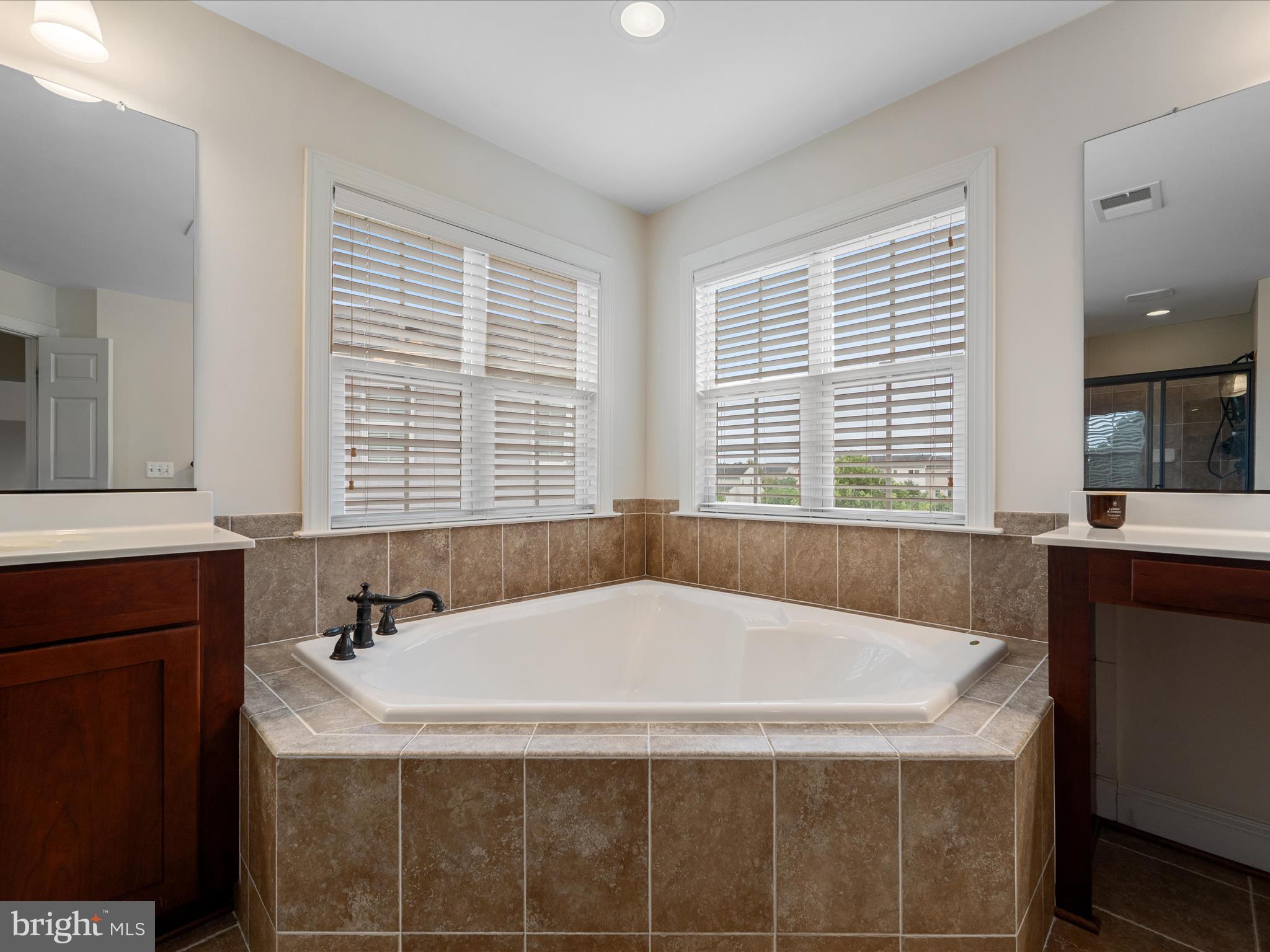 103 Prairie Place Stephenson, VA 22656 - Photo 23 of 90 Primary Bathroom