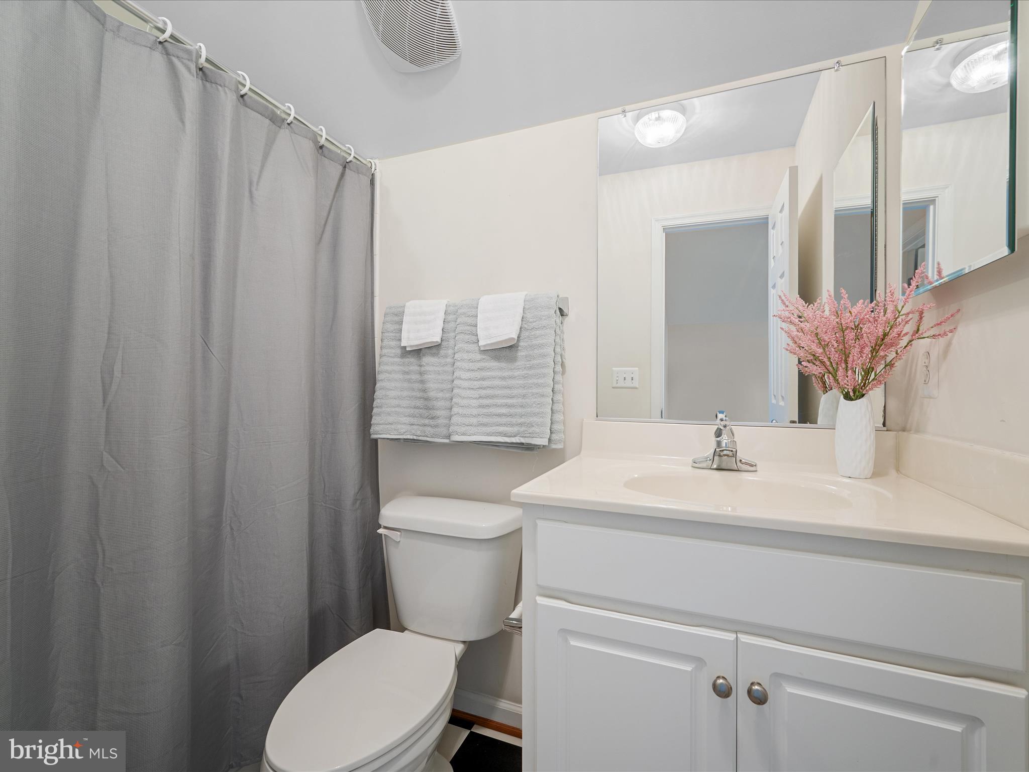 103 Prairie Place Stephenson, VA 22656 - Photo 32 of 90 a bathroom with a sink a toilet a mirror and shower curtain