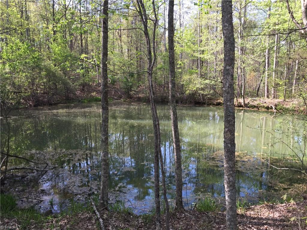 27 Flat Rock Road, Unit 27 Pinnacle, NC 27043 - Photo 1 of 20 Gallery Image 1
