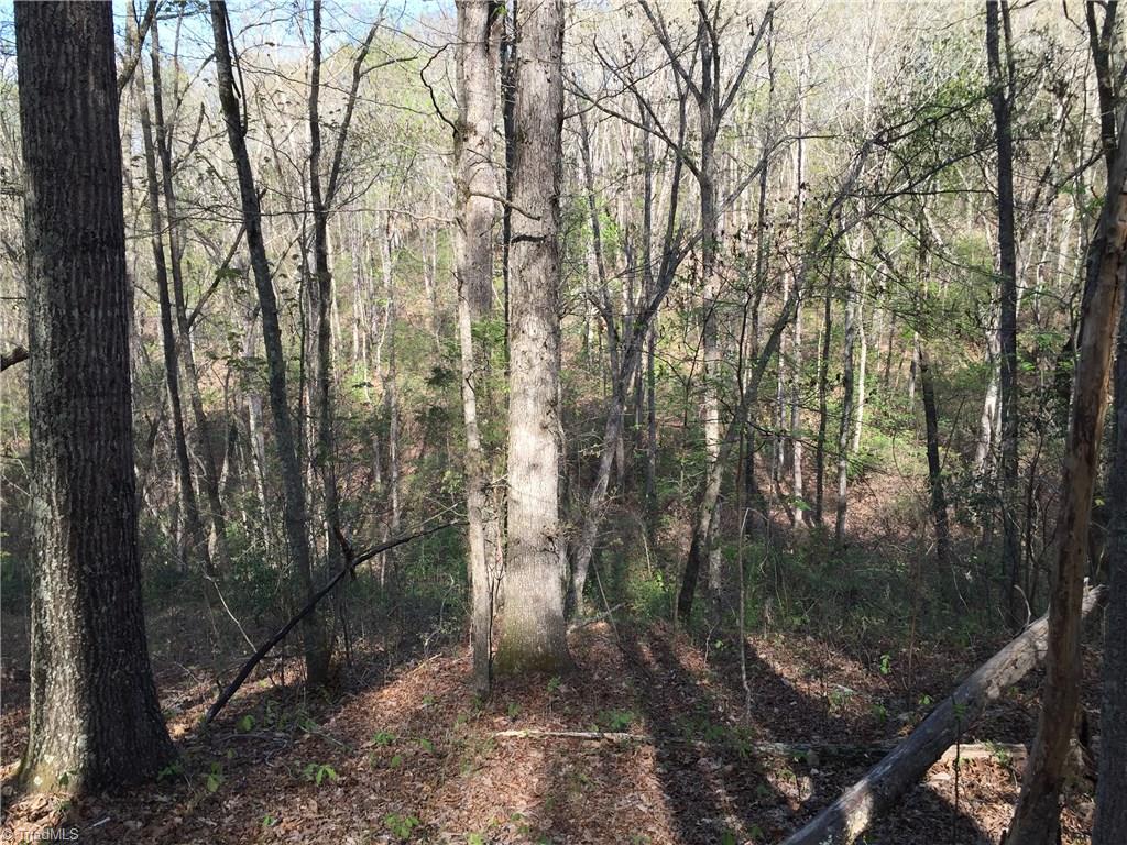27 Flat Rock Road, Unit 27 Pinnacle, NC 27043 - Photo 13 of 20 Gallery Image 13