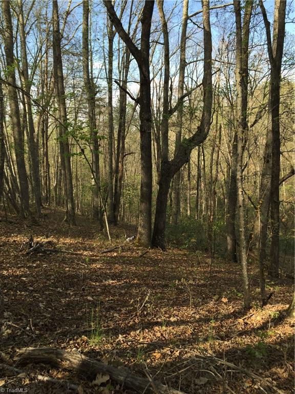 27 Flat Rock Road, Unit 27 Pinnacle, NC 27043 - Photo 14 of 20 Gallery Image 14