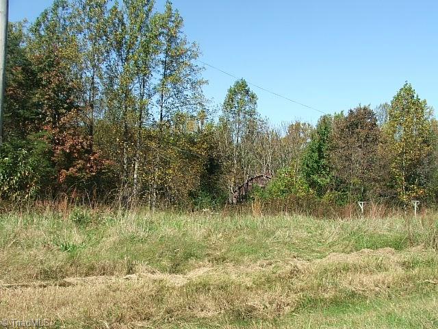 27 Flat Rock Road, Unit 27 Pinnacle, NC 27043 - Photo 5 of 20 OLD BARN IN BACKGROUND