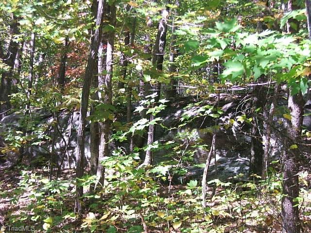 27 Flat Rock Road, Unit 27 Pinnacle, NC 27043 - Photo 7 of 20 LOT'S OF ROCK OUT CROPPINGS