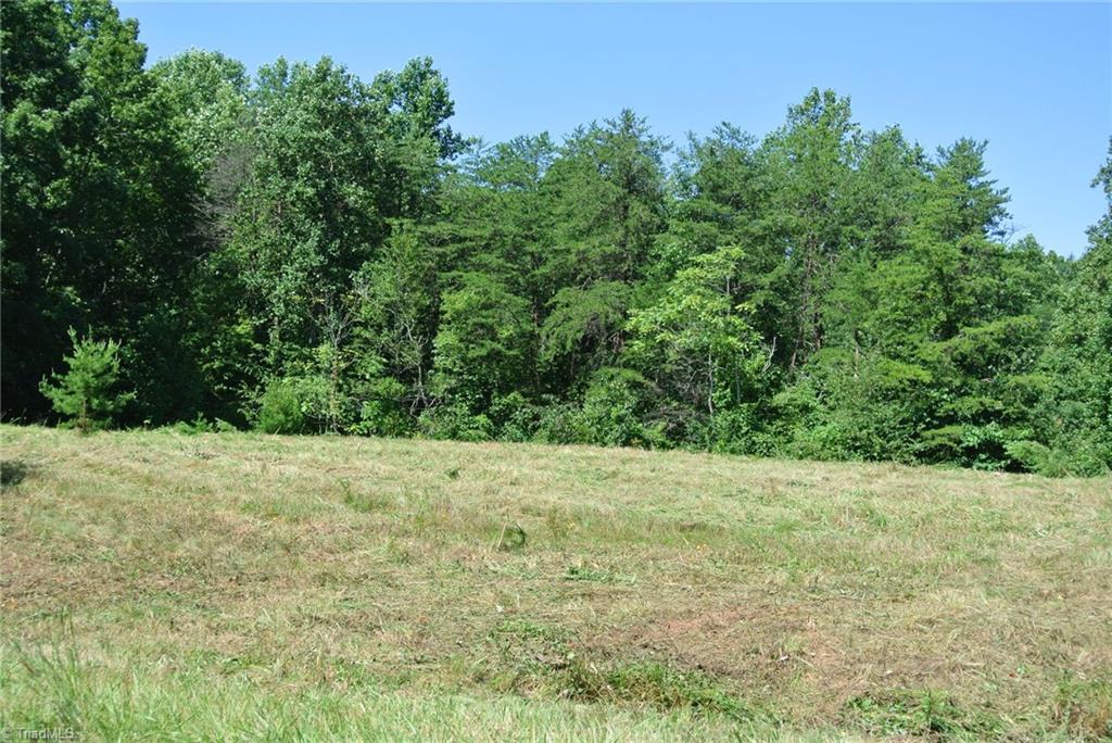 27 Flat Rock Road, Unit 27 Pinnacle, NC 27043 - Photo 8 of 20 LEFT FIELD BUILDING SITE