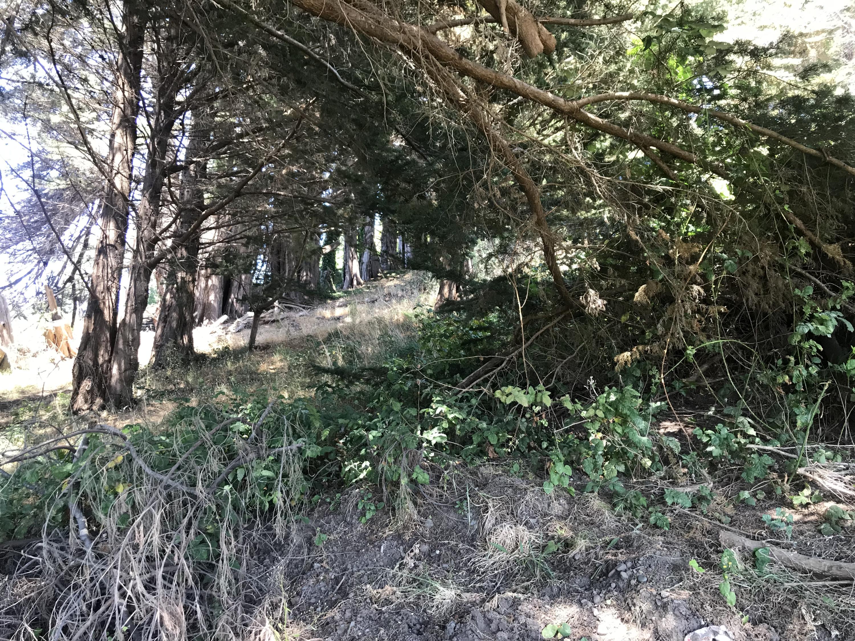 0 Rohnerville Road Fortuna, CA 95540 - Photo 7 of 7