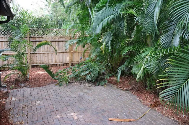 a view of a backyard with plants