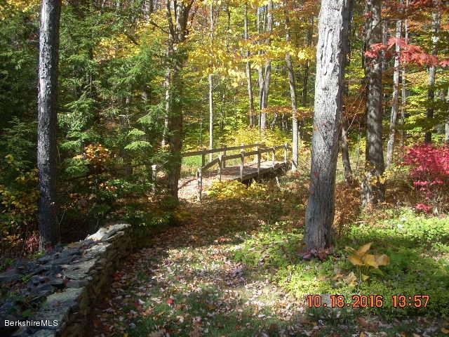 20 West Hubbard Road Sandisfield, MA 01255 - Photo 2 of 15 a view of a yard with plants and large trees