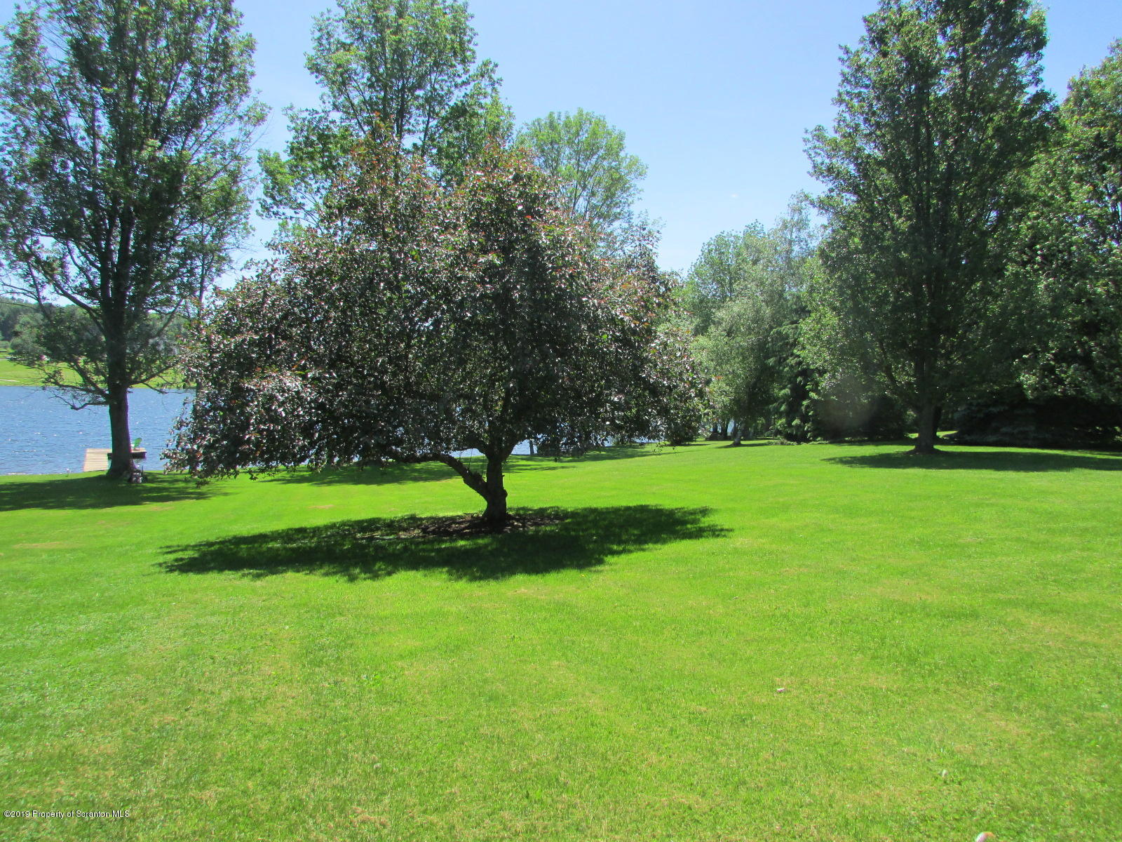 1315 Old County Road Montrose, PA 18801 - Photo 51 of 74 a view of a park with large trees