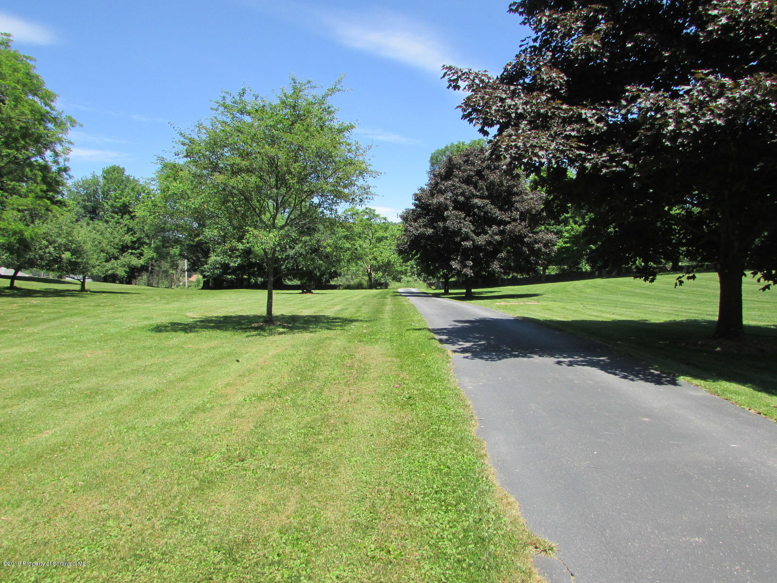 1315 Old County Road Montrose, PA 18801 - Photo 66 of 74 a view of a park with large trees