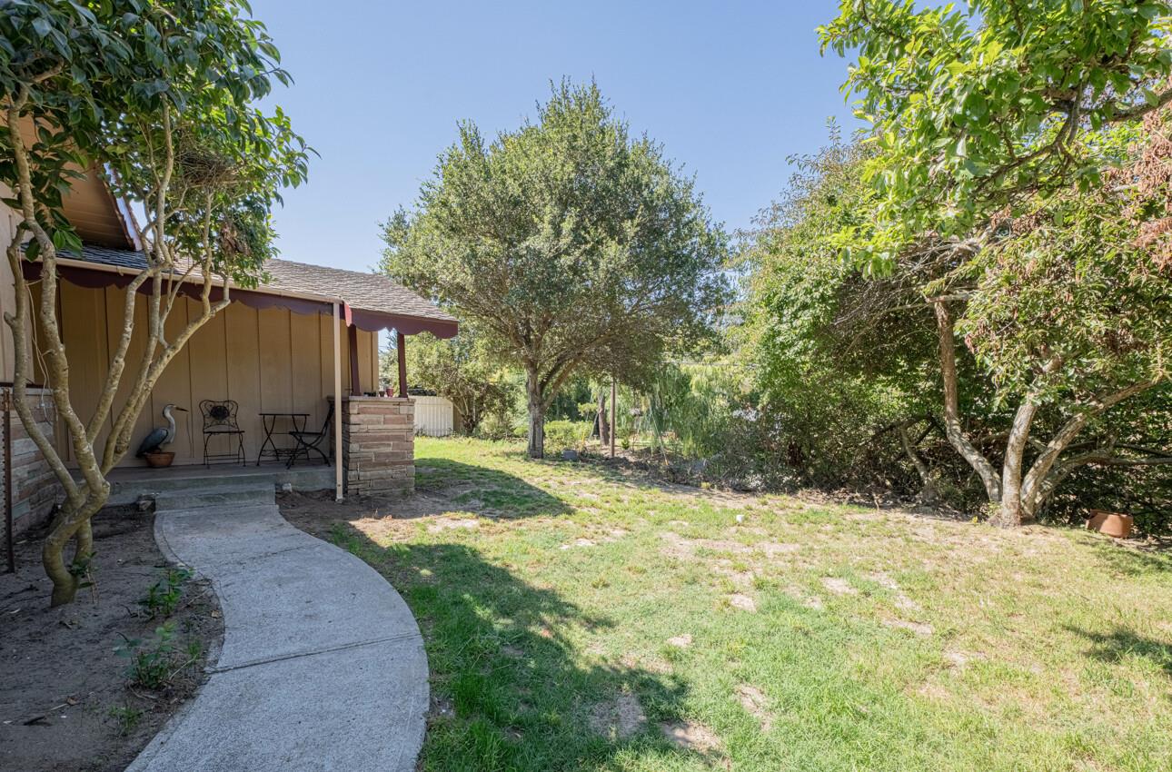 454 Paradise Road Salinas, CA 93907 - Photo 28 of 31 a view of a backyard with a tree