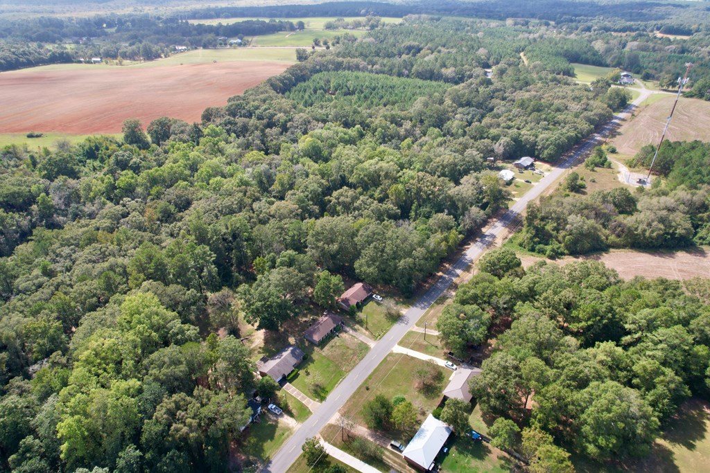 0 JB Chapman Road Midland City, AL 36350 - Photo 8 of 9