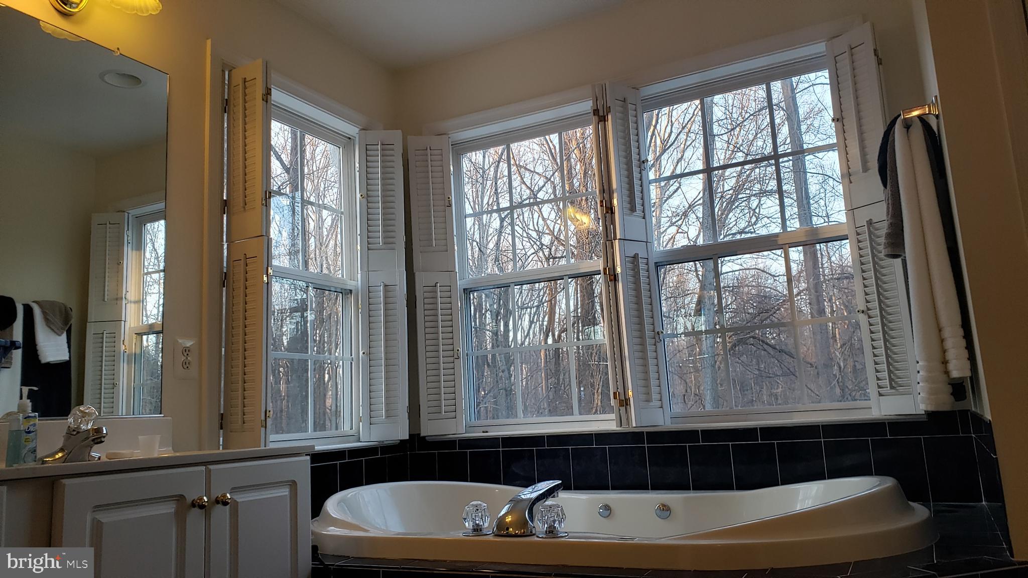 8637 Willow Run Road Baltimore, MD 21244 - Photo 35 of 56 a bathroom with a bathtub and window