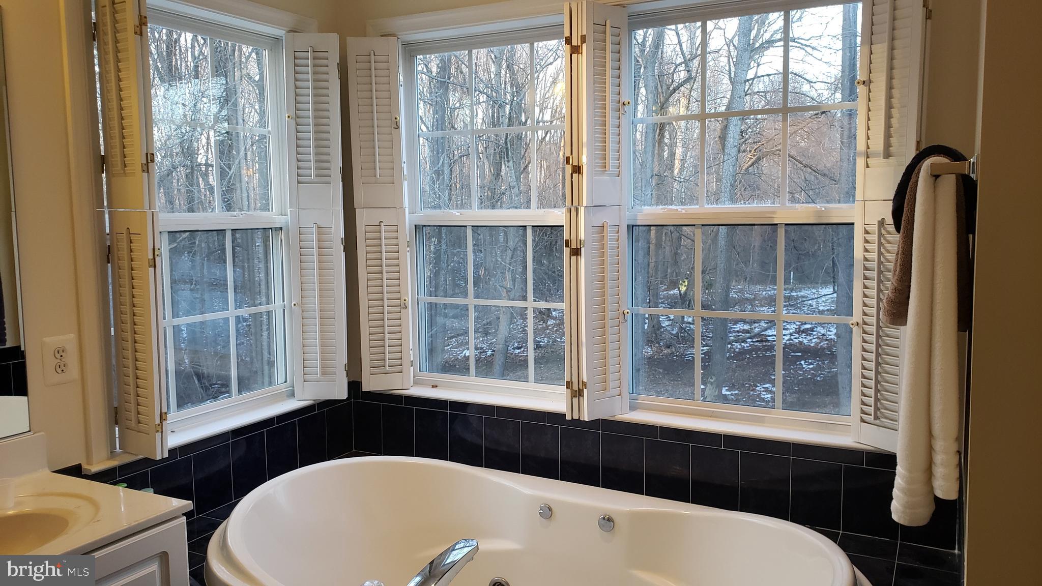 8637 Willow Run Road Baltimore, MD 21244 - Photo 36 of 56 a bathroom with a sink a bathtub and next to a window