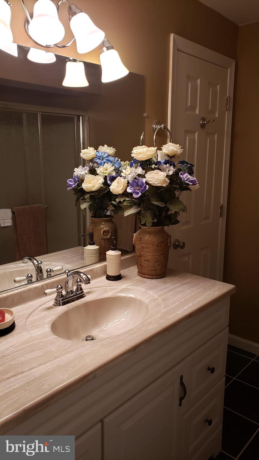 8637 Willow Run Road Baltimore, MD 21244 - Photo 52 of 56 a bathroom with a sink a mirror and a toilet
