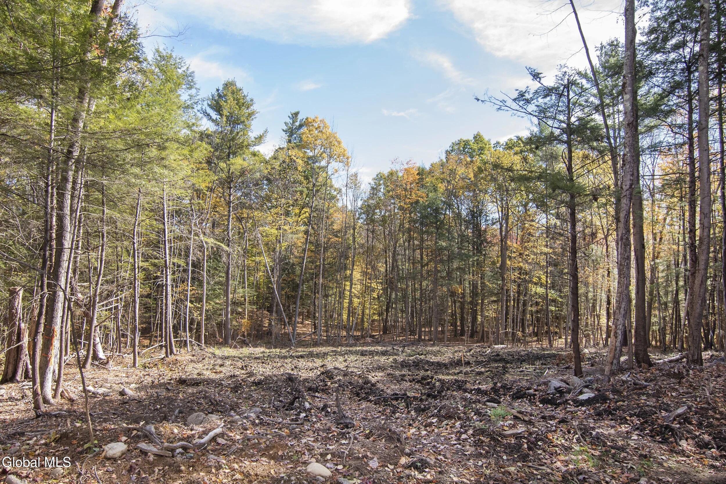 103 A Sand Hill Road Greenfield, NY 12833 - Photo 7 of 8 5