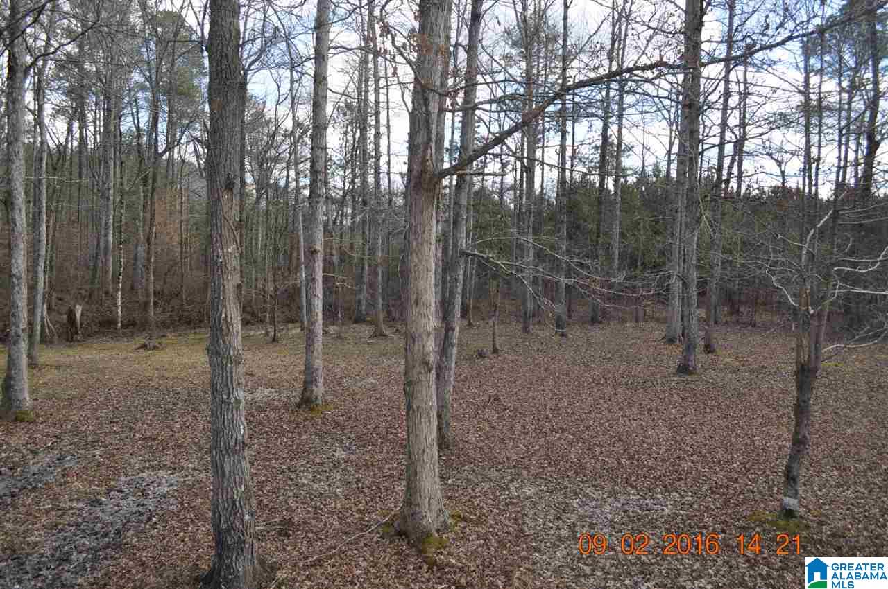 4514 Chelsea Road Columbiana, AL 35051 - Photo 19 of 19