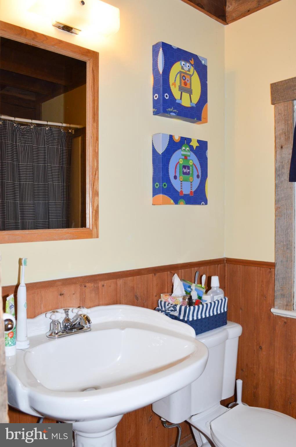 2113 Florence Road Mount Airy, MD 21771 - Photo 19 of 30 Full hall bathroom