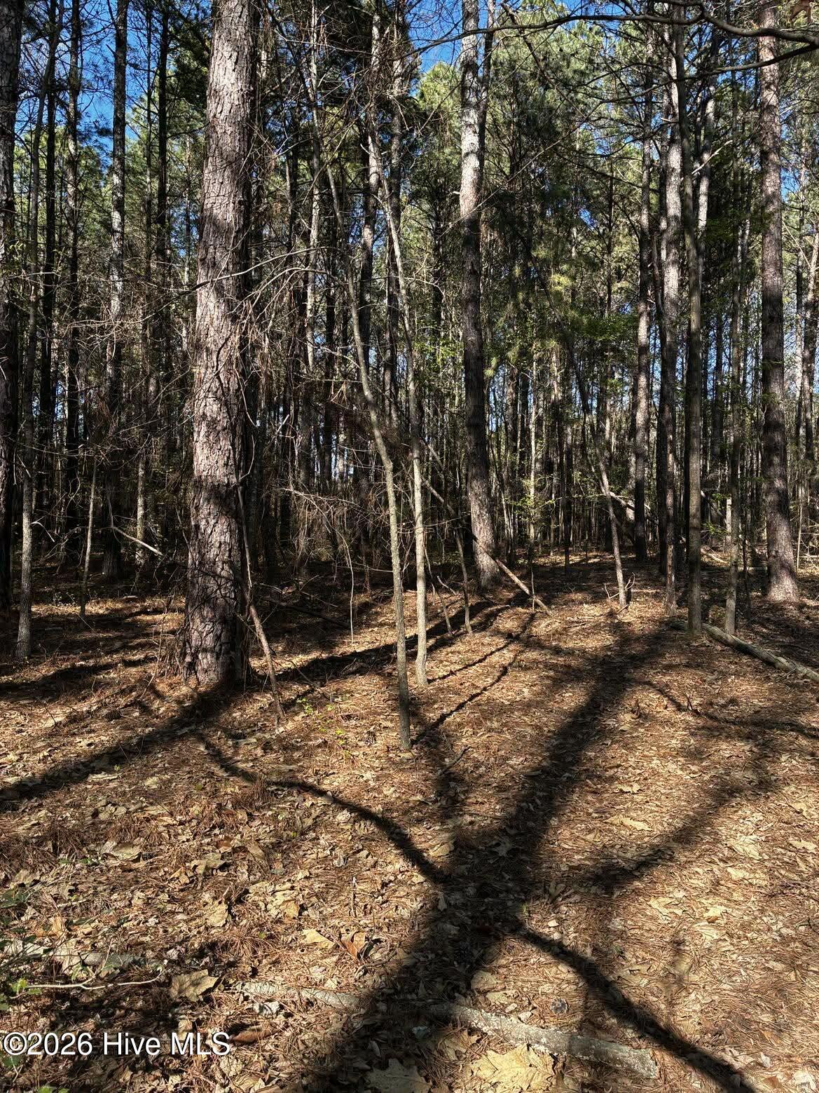 285 Kelly Road Carthage, NC 28327 - Photo 8 of 16 3