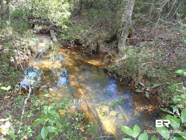 0 Pine Street Eight Mile, AL 36613 - Photo 2 of 5