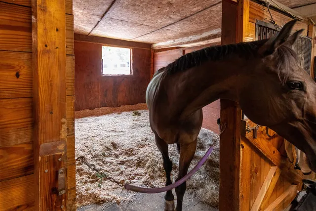 $1,350,000 | 6493 Dorset Street, Shelburne, VT 05482