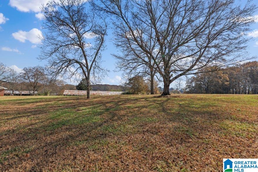 21984 Main Street Ranburne, AL 36273 - Photo 38 of 49 Gallery Image 38