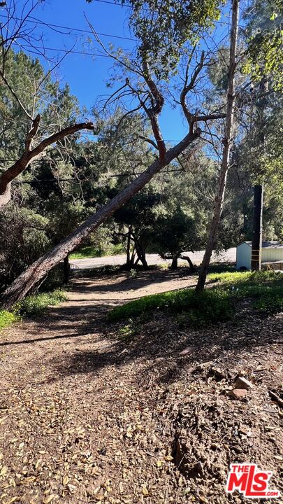 3485 Old Topanga Canyon Road Calabasas, CA 91302 - Photo 10 of 17 a view of a park with large trees