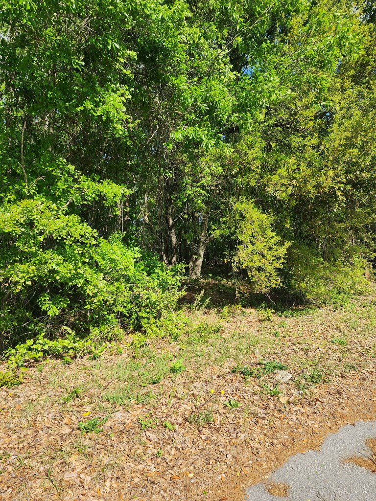 2395 Killdee Drive Sumter, SC 29154 - Photo 3 of 3