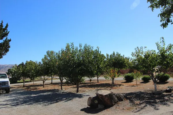 a view of a road with a building in the background