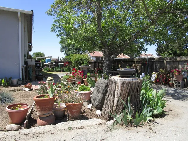 a view of a yard with a house