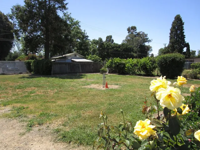 a view of a pathway with a flower garden