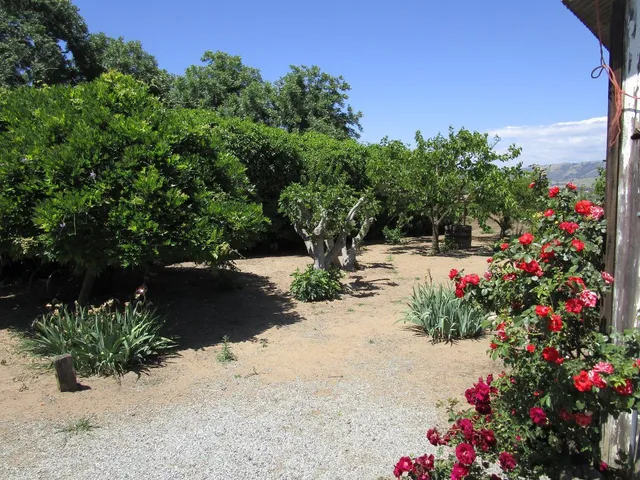 a view of outdoor space with trees all around