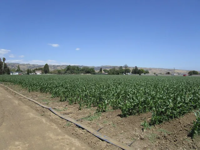 $995,000 | 2025 Pacheco Pass Highway, Gilroy, CA 95020