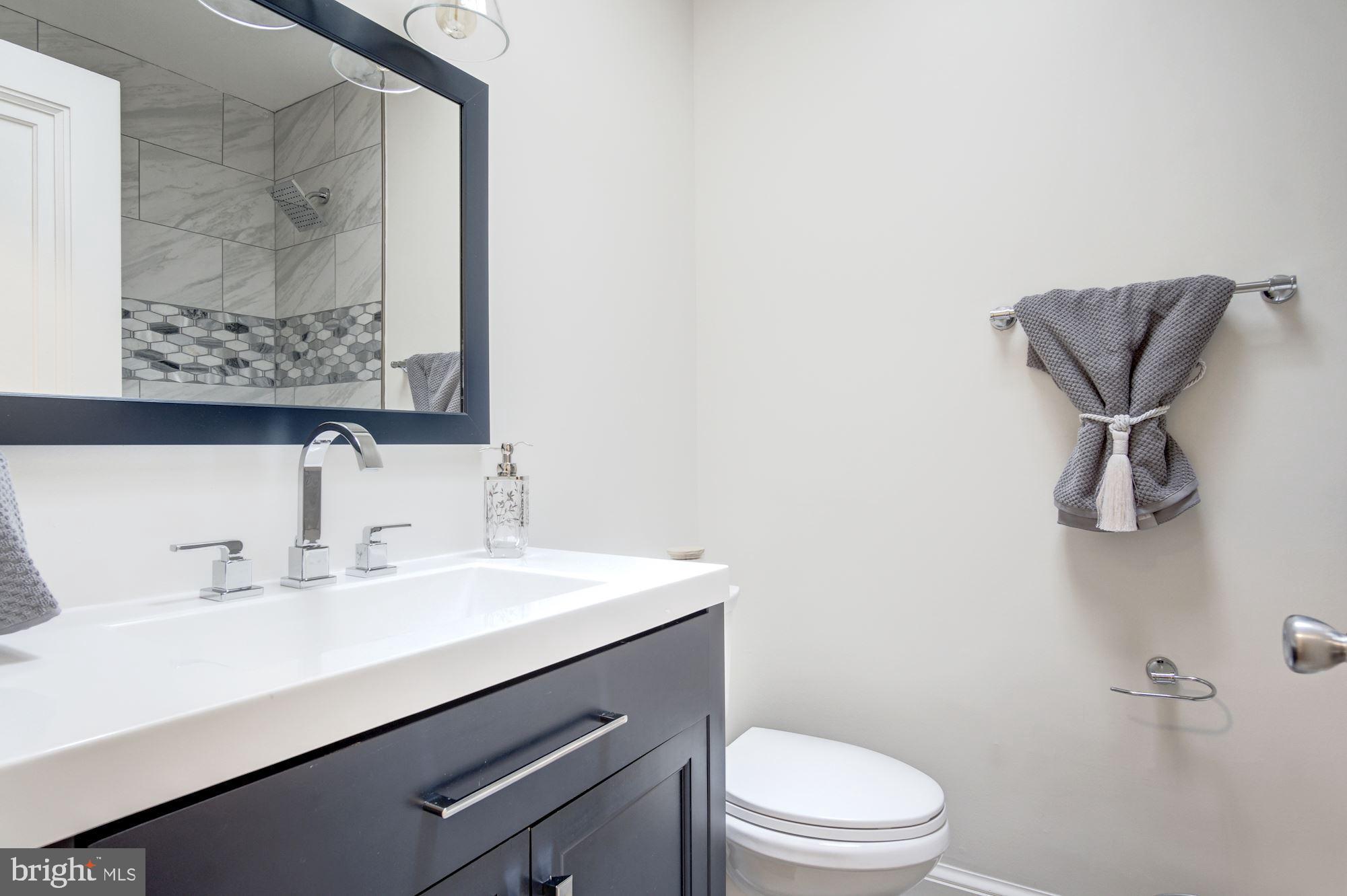 5710 3rd Place Northwest Washington, DC 20011 - Photo 35 of 53 Refined Elegance in Remodeled Grand Hall Bath