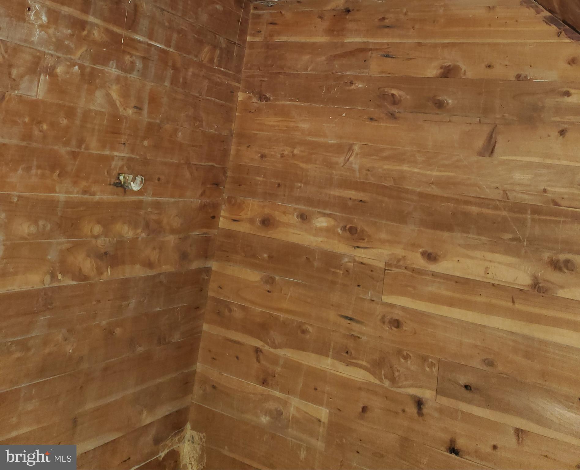 5710 3rd Place Northwest Washington, DC 20011 - Photo 45 of 53 Custom Cedar Closet Number 2 on Lower Level