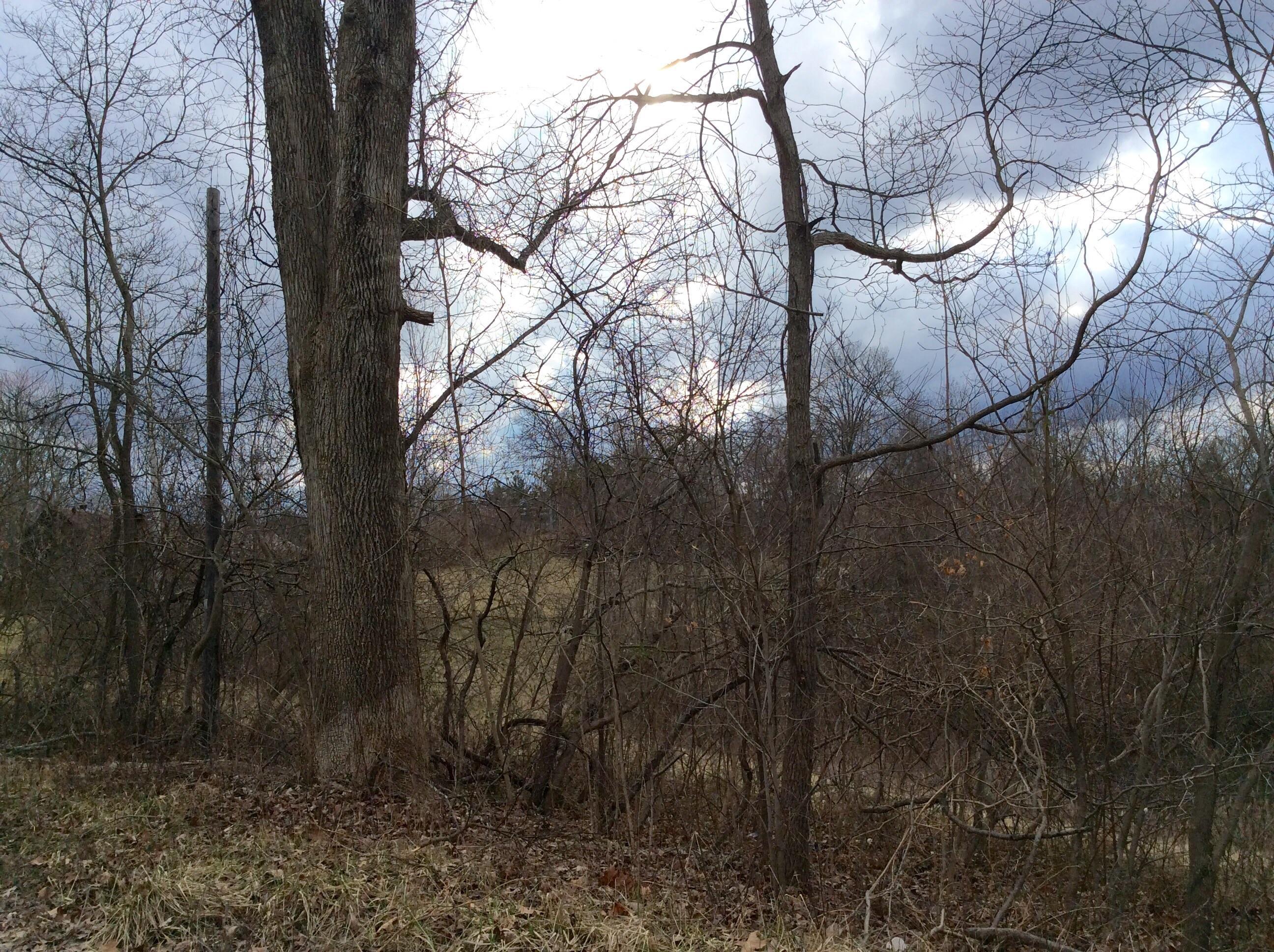 0 Flint Ridge Road Newark, OH 43055 - Photo 11 of 13