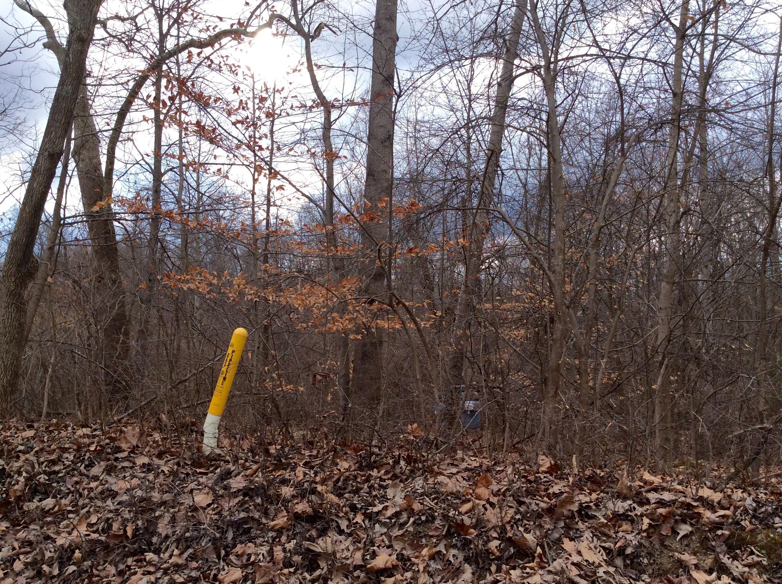 0 Flint Ridge Road Newark, OH 43055 - Photo 12 of 13
