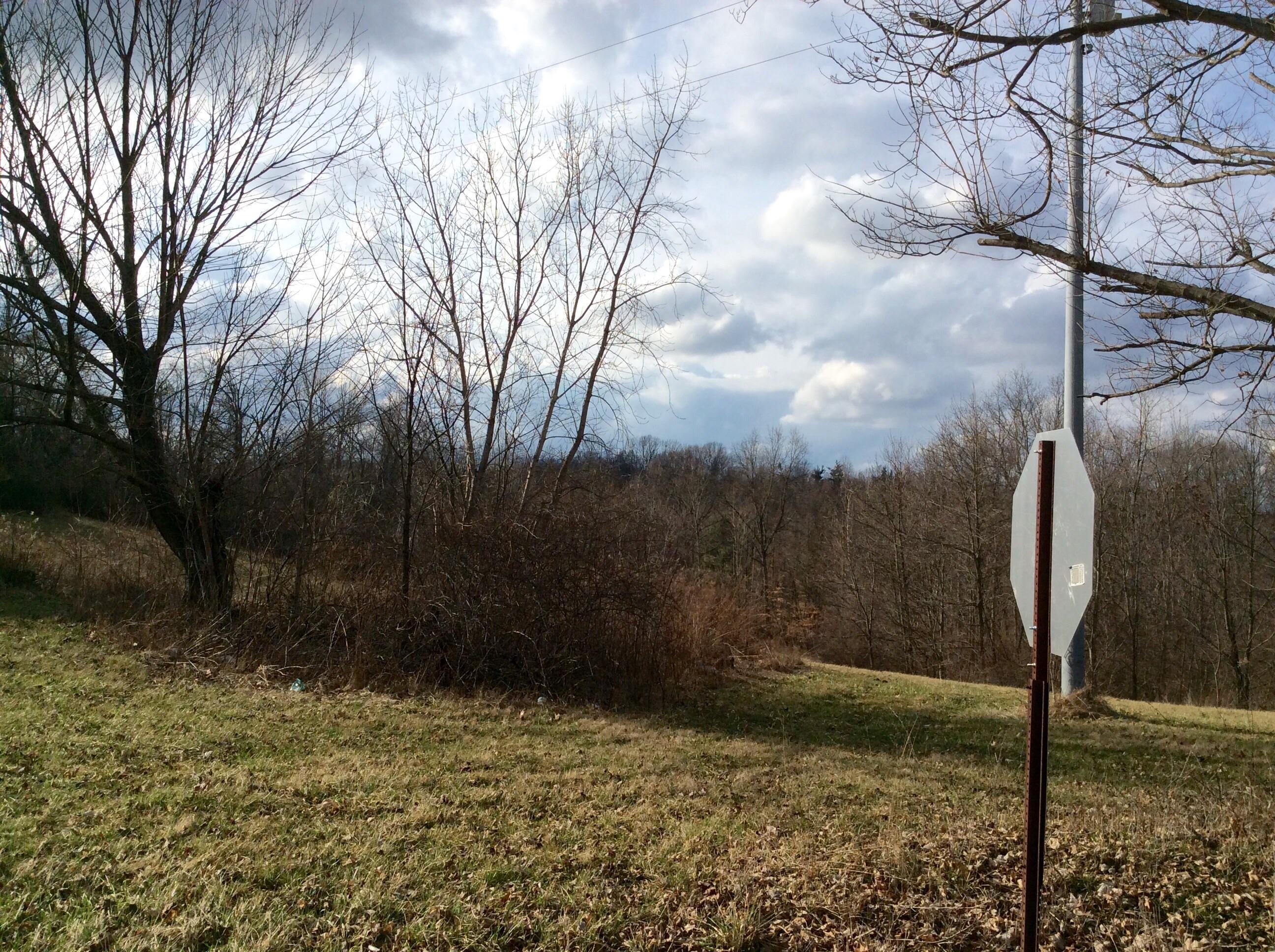 0 Flint Ridge Road Newark, OH 43055 - Photo 2 of 13