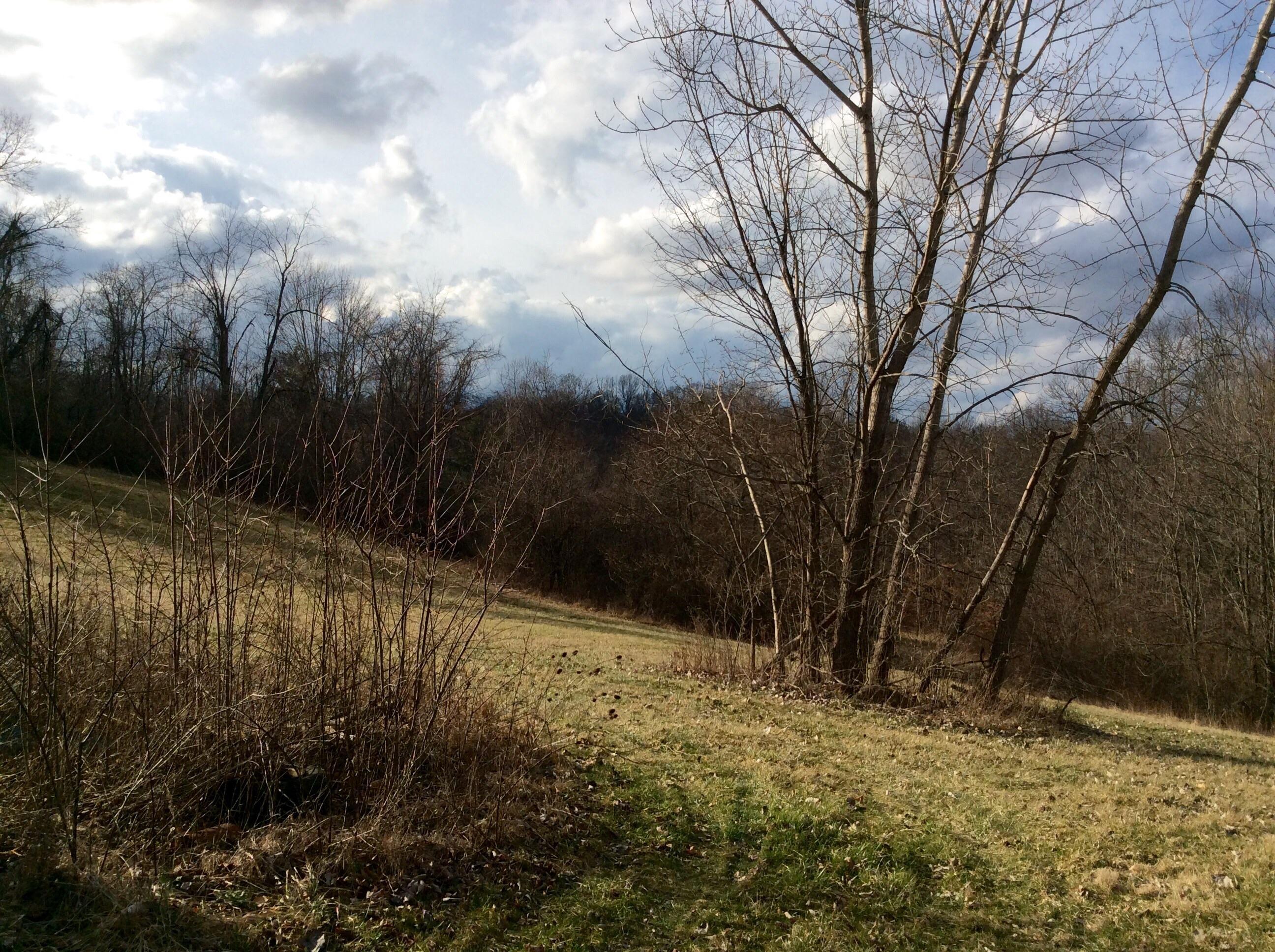 0 Flint Ridge Road Newark, OH 43055 - Photo 4 of 13