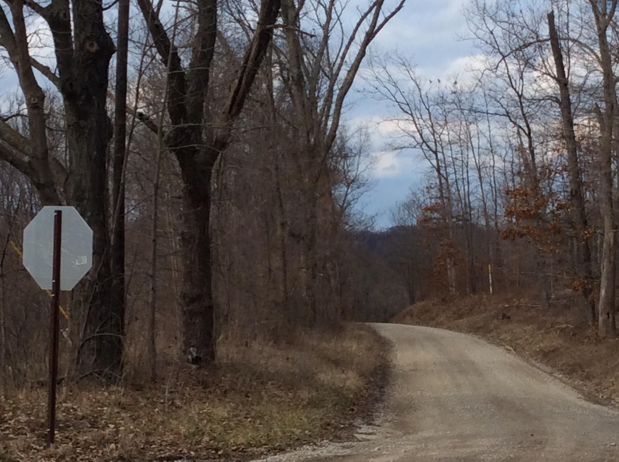 0 Flint Ridge Road Newark, OH 43055 - Photo 10 of 13